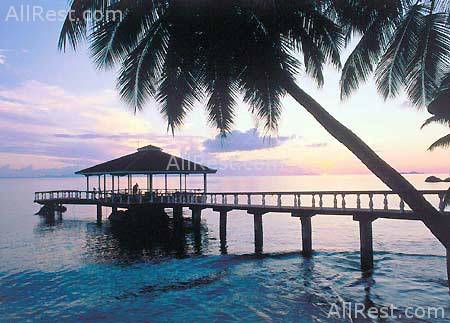 Black Parrot Suites Superior 17